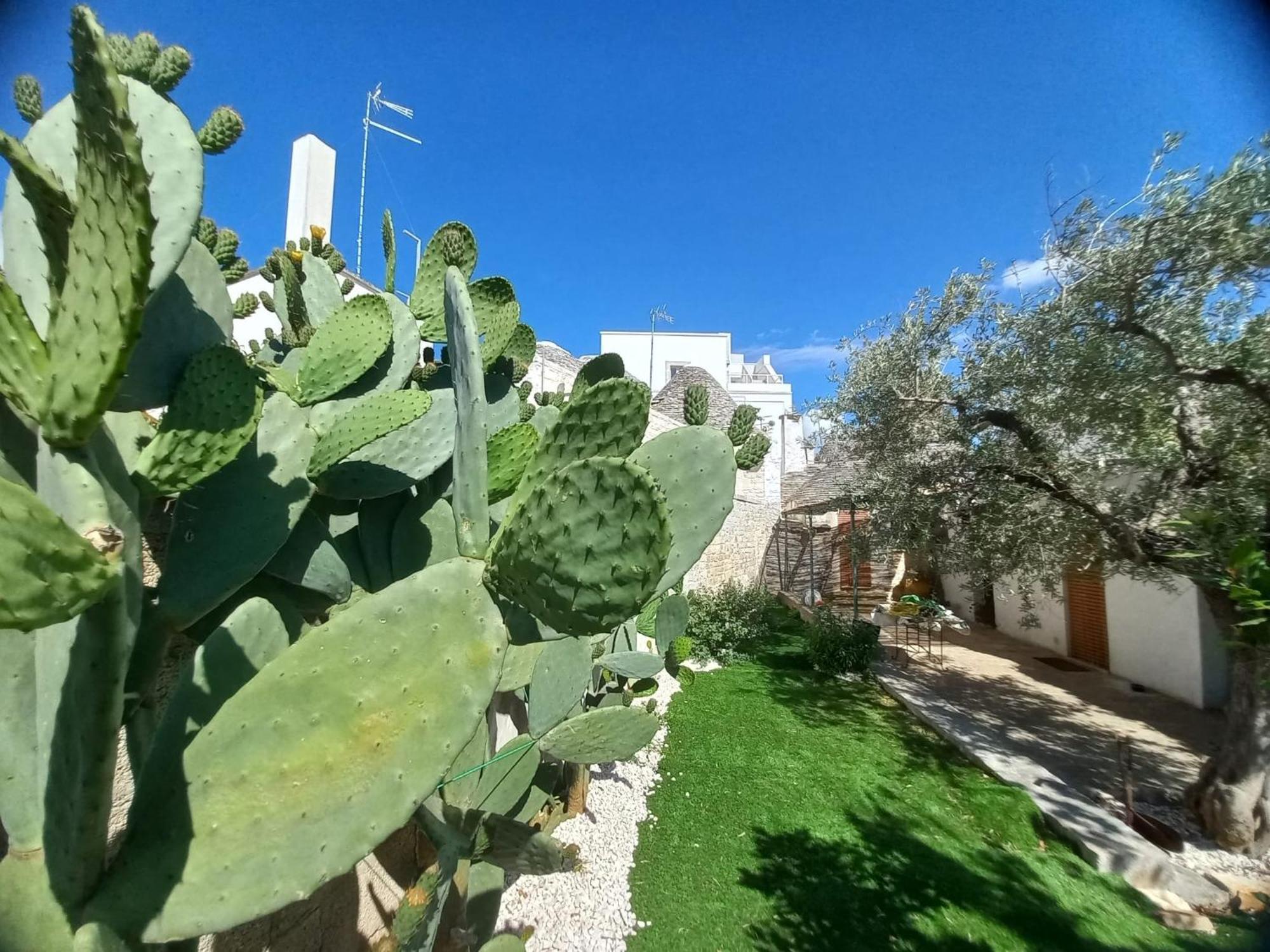 Trullo Vacanza Alberobello Quarto foto